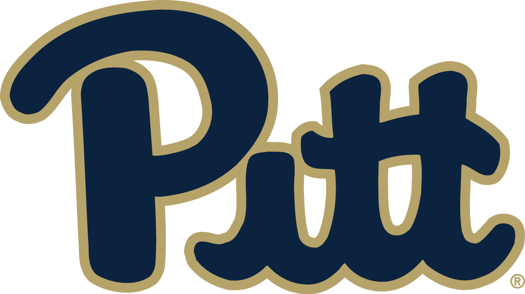 Pittsburgh Panthers 2016-2018 Primary Logo diy iron on heat transfer